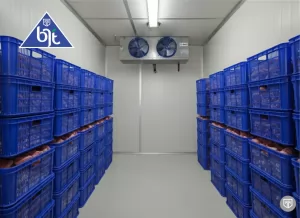 COLD STORAGE ABF CHILLER FREEZER BLAST FREEZER ROOM CUSTOM BJT by BITZER